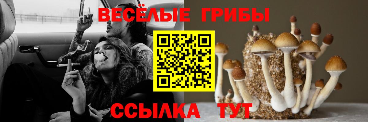 купить наркотик  Галлюциногенные грибы ЛСД  Вход с VPN  Черемхово 